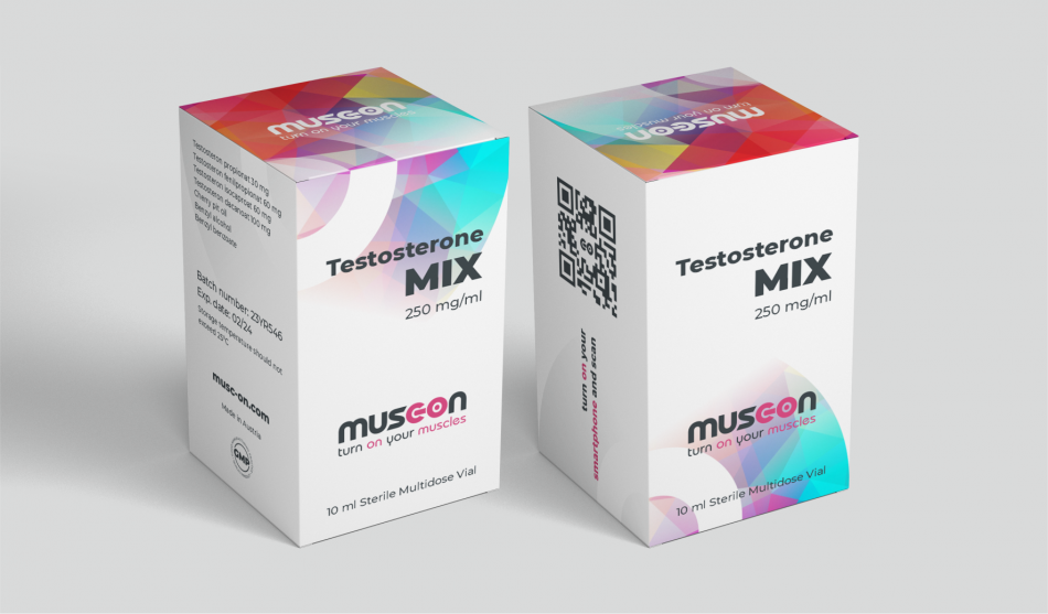 Mg 250. Тестостерон микс ZPHC 250. Testosterone Mix 250 MG. Энантат тестостерон 250 10. Sustagam 4 testosterone Mix 10ml 250mg.